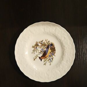 Birds Of America Plate